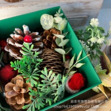 �羳ɭϵ������������}�Q�Y����Ȧ�ֹ�������ϻ���˪�G�~ֲ���b
