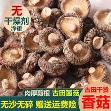 ��؛��������㹽��؛���o���r���㹽���l���㹽�ҳ�����ʳ��