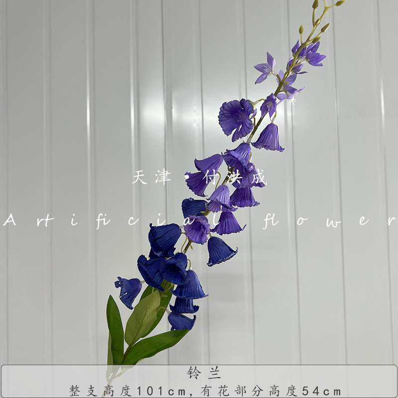 계곡의 백합-푸른 보라색