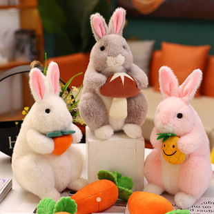 �S�����ӹ��г��}����ë�q�����Ф���꼪������ż����������Y��