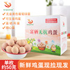 sterile Egg fresh Runny Se 40 Gift box packaging children pregnant woman Pearl egg