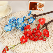 С����÷ ���滨�¿��D÷��ʽ÷���һ��t÷��֦��c�b� �ٻ��羳