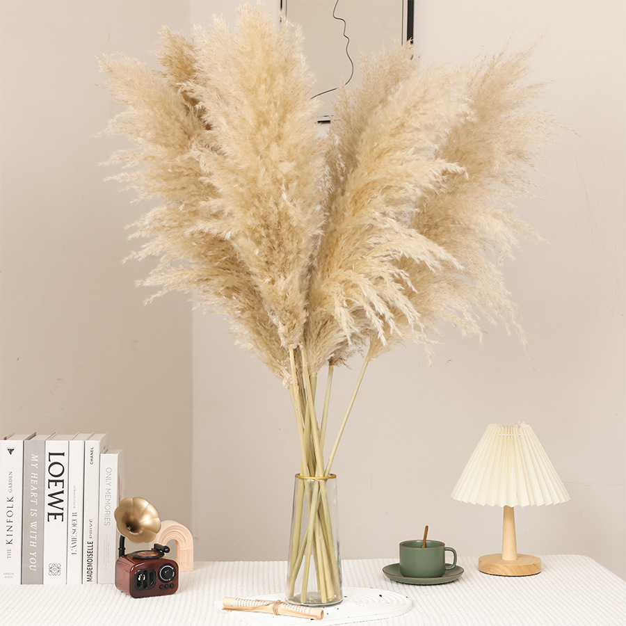 1m 팜파스 그래스 10개, 전체 길이 1m (귀 길이 60-70cm)