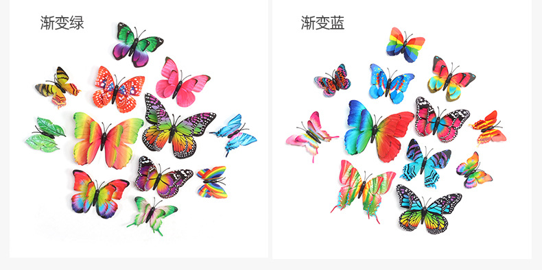 12只彩虹套装蝴蝶详情_04