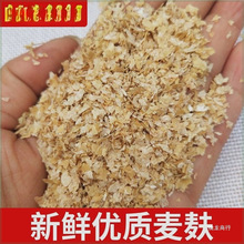 l 100SֱNСιţuZSxƤ~