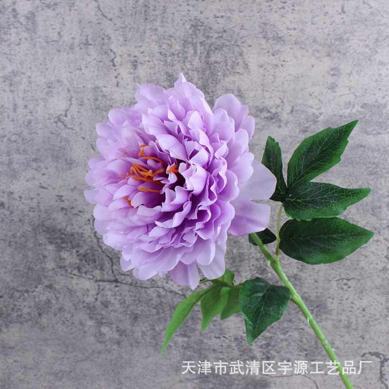 보라색