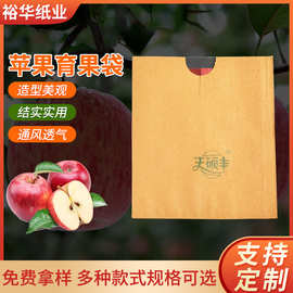 厂家供应苹果套袋  耐水防虫红蜡果袋  苹果育果袋防虫防鸟套袋