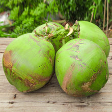 6个装海南带皮椰青新鲜椰子孕妇水果补羊水大果嫩青椰汁多椰子鸡