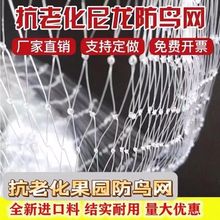 菜地防鸟罩小孔防鸟网果树樱桃防鸟用的种花网鱼塘天网尼龙养殖网