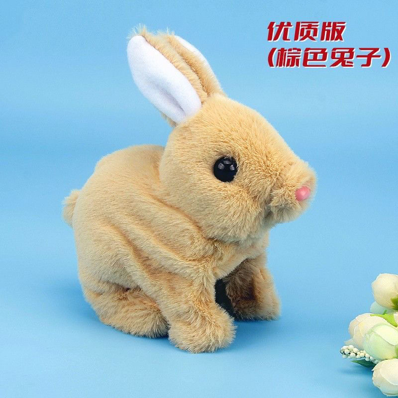 Brown angora rabbit