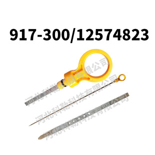 917-300 12574823�m��춄e���T���Խ�ʳ���܇�l�әC�ͳ���λ�y��