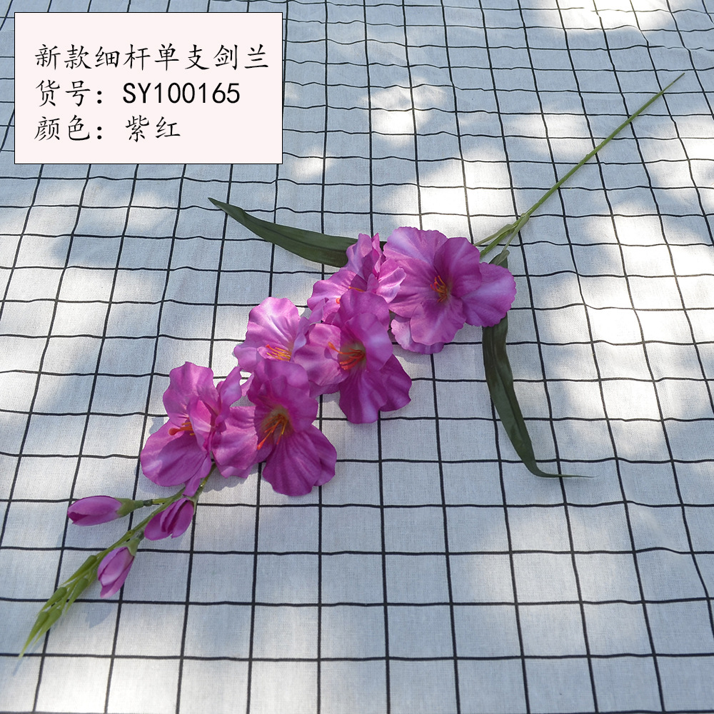 새로운 얇은 막대 단일 스피어 글라디올러스 보라색