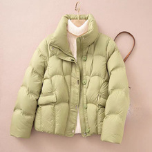 С���ӿ��¿���q�޷�2025��������@�ݼӺ�ůС�������e����