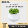 迷你定制车载盆栽小花盆