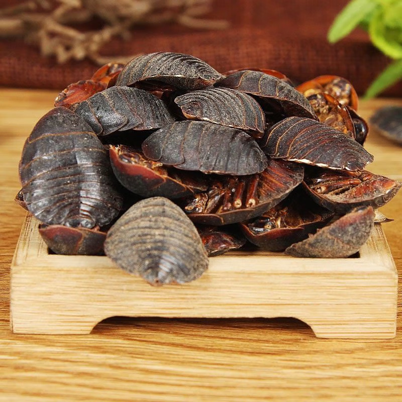 Dried Ground Beetle Tu Bie Chong 土鳖虫 Eupolyphaga Whole Insect TCM Herb 500g preparation