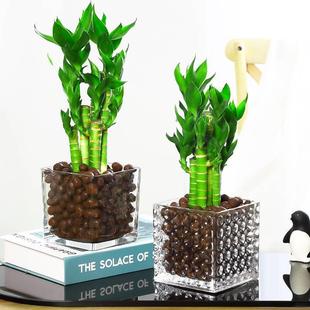 ���F��ɻ����^��������ˮ��Gֲ�ﻨ���҃��k������С��������ȩ