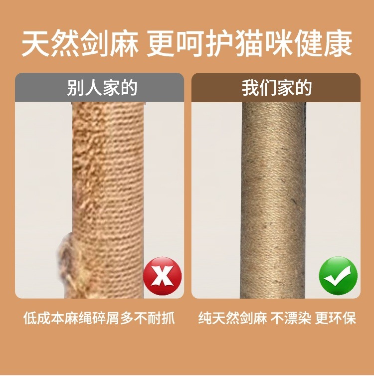 b22d22de-971d-42e3-a31c-c980cc639633.jpe