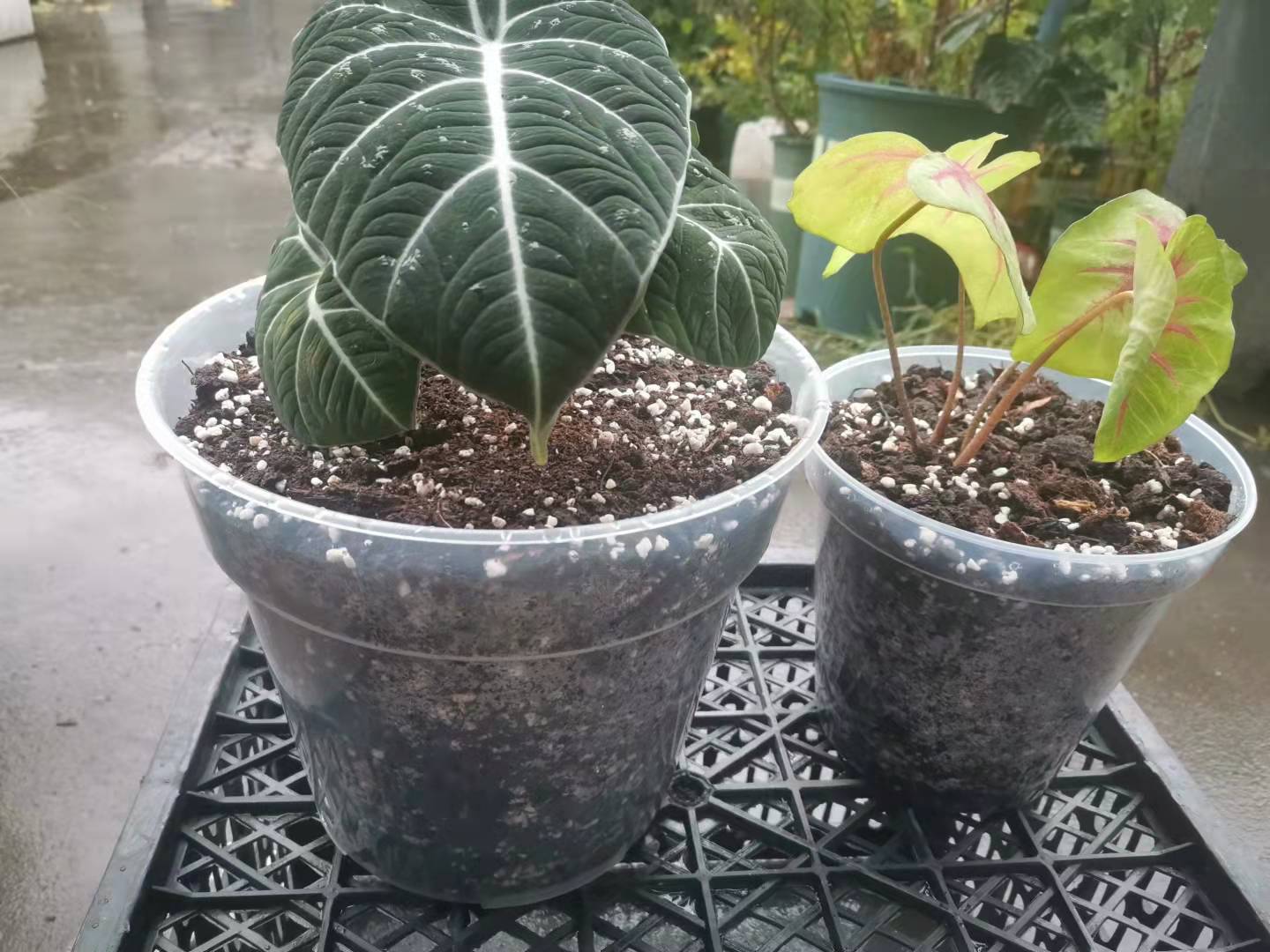 微信图片_20210913111716