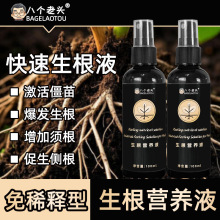 快速生根营养液植物通用果树专用移栽扦插生根壮苗剂生根液树桩水