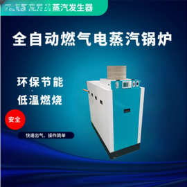 D级生物质蒸汽锅炉酿酒蒸馒头包子燃油燃气蒸汽发生器锅炉