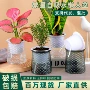 水培桌面家用双层塑料盆