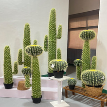 �Ꭷ�����҃��k���ҙ����bGֲ�M���������Է��滨������