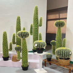 热带大型室内办公室橱窗装饰假绿植组合仙人柱盆栽仿真仙人掌造景