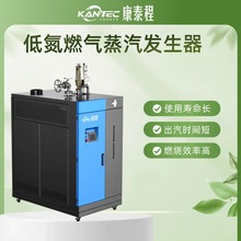 高效节能燃气蒸汽发生器一键智能操控省心省气更省成本消毒杀菌