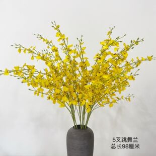 ����5�� �����m �����m �ӼҘӰ巿�b�cܛ�b�쾰�廨�S�����l