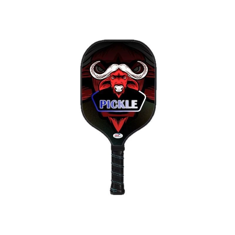 Pickleball pickle racket заводская ракетка для маринования, полный комплект, оптовые ракетки для маринования, детский горячий стиль