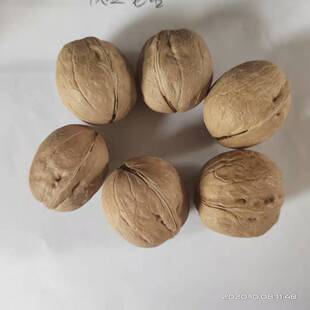 �������l2024�º��ҿɳ��ں決�ÈԹ��½�ˮϴ33�������S�Ҹ���