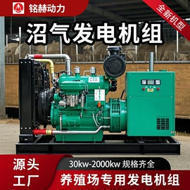 燃气发电机组;柴油发电机组;内燃机
