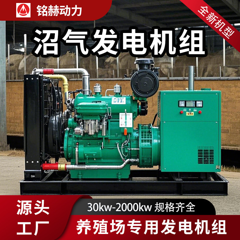 Commonly Used 150-Kilowatt Gas Generator Set, One-Click Start Biogas Power Generation Equipment, Pig Farm Power Station Export