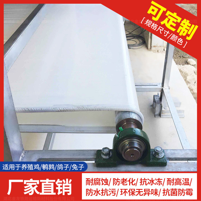 金龙清粪带鸡鸭粪传送带 养殖用自动化清粪设备蛋肉鸡传粪带