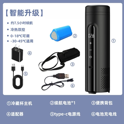 Refrigeration Box, Portable Rechargeable Mini: Soyuducular - classic-black-smart-upgrade-1-set-of-batteries-travel-bag
