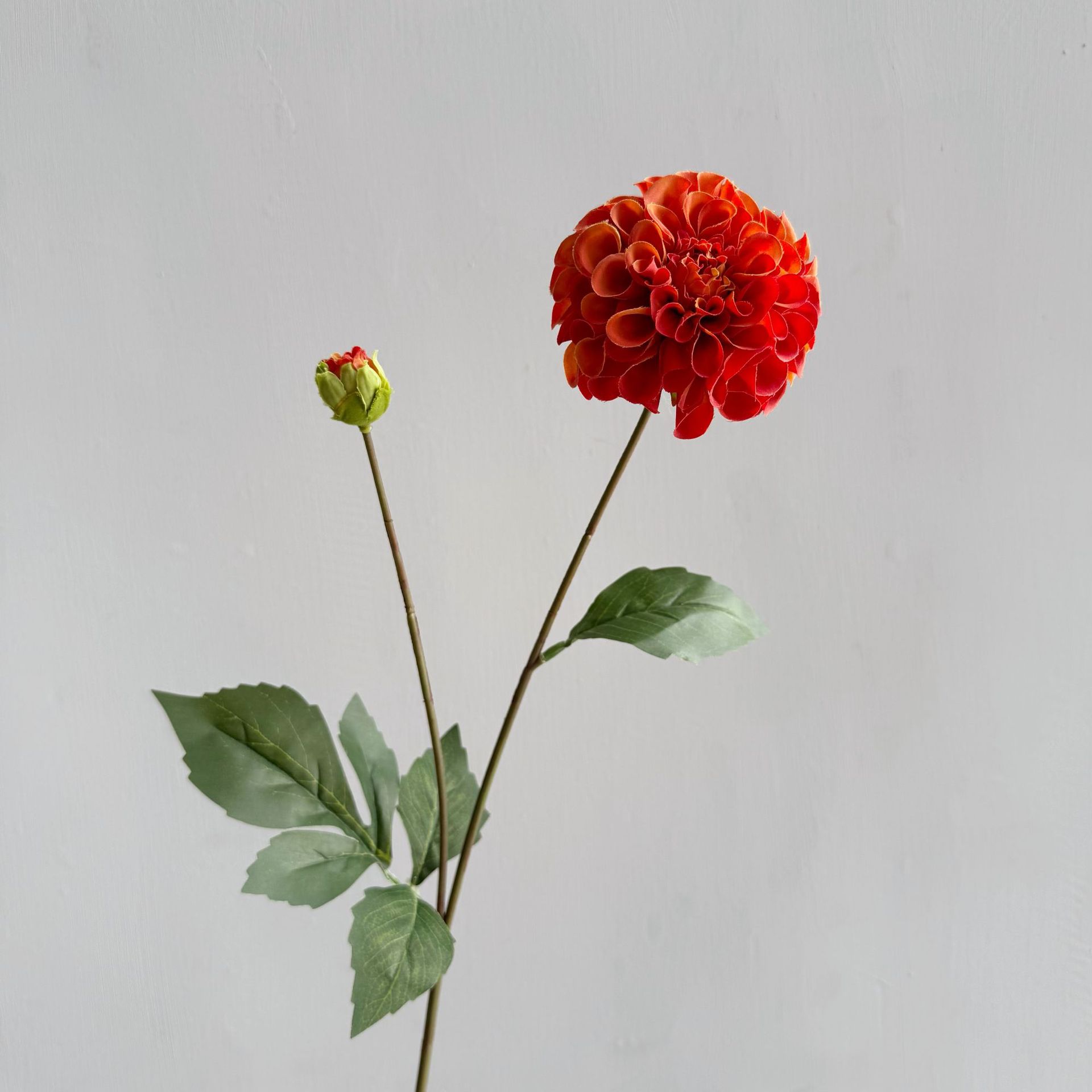 오렌지 58#