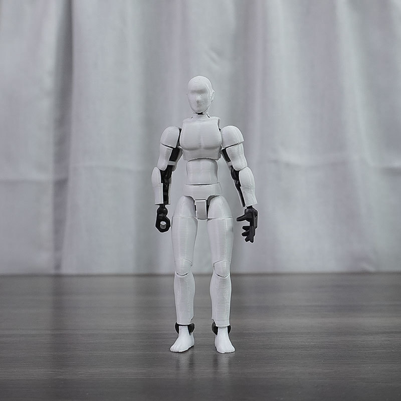 백인 남성 신체(교체용 손 포함)