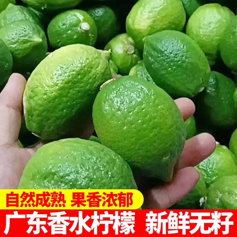 Парфюмерный лимон оптовая продажа свежего молочного чая