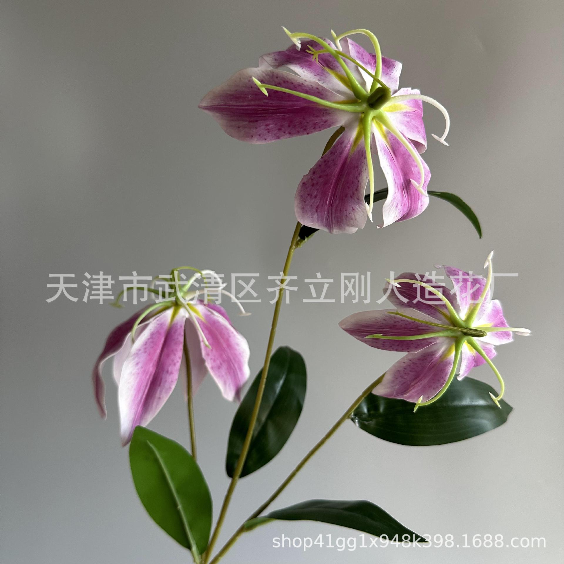 10호