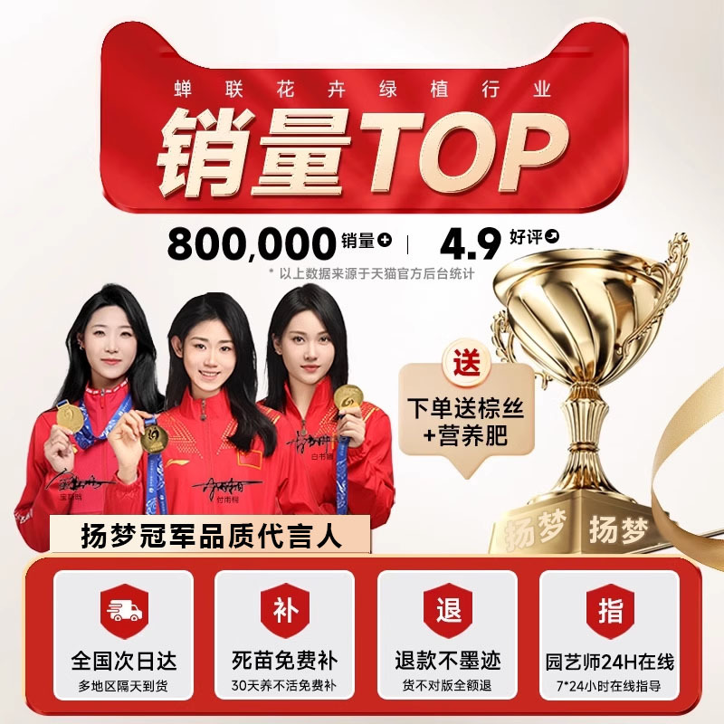 商品图