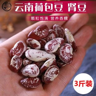 ��Ϻɰ����ڻ�ܿ����Ԫ�����I������s�Z��ܿ���������R���ʵ۶�