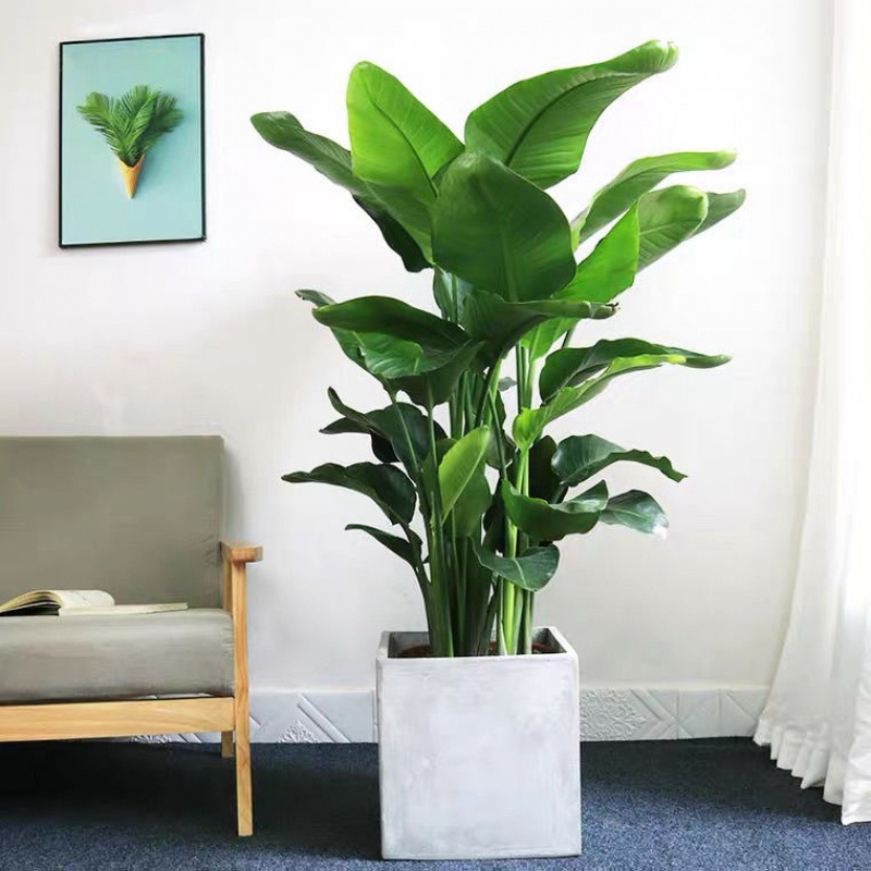 사각 시멘트 분지 포함