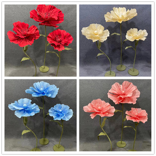 �¿��c��ĭ�����tɫ��ˇ����z�W�󻨻�Y�����b����[��