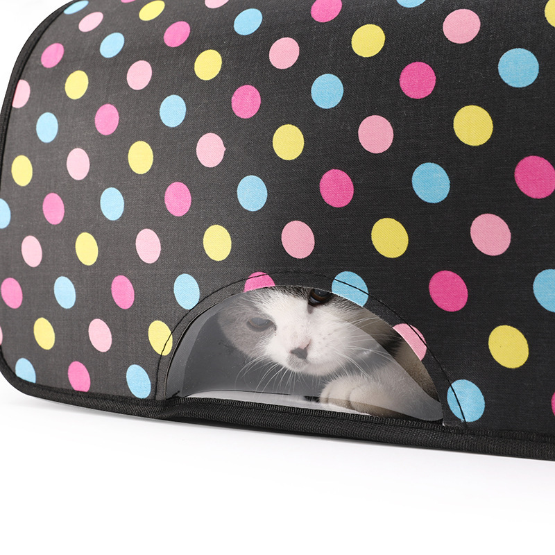 14204045291_688125845