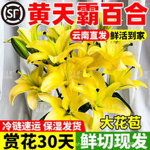 �S��԰ٺϻ��Sɫ��ˮ�ٺ��r�����^��ϻ���ֱ�l���ò�ƿˮ�B����