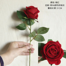 ���滨�q��õ��νq��õ������õ�羳���Q�q��õ��F؛���S���l