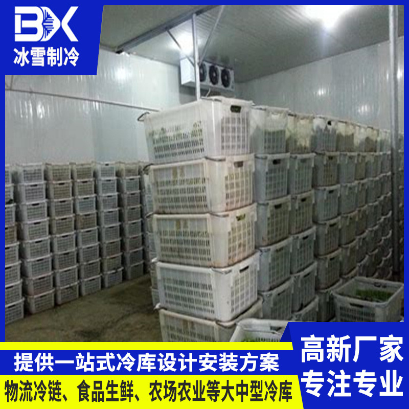 大中型食品冷冻库 蔬果保鲜冷库全套设备 海鲜肉类低温储存速冻库