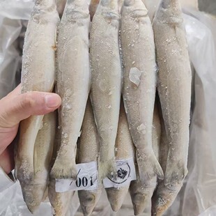 ɳ���~ɳ���~ɳ��������~�����~Ŀ�O�~���aʳ�Ĵ��řn�Ƙ����