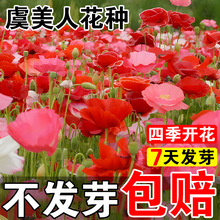 �����˻��N���u�ļ����N�_������ͥԺ��۹��N��������̫ꖻ��N��