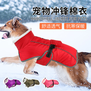 �羳���������·���ů�������lС����Ȯ��ë�����»��������b���